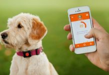 collari satellitari GPS per cani
