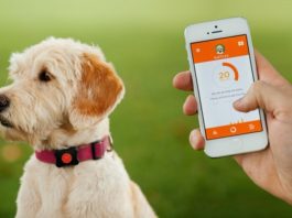 collari satellitari GPS per cani
