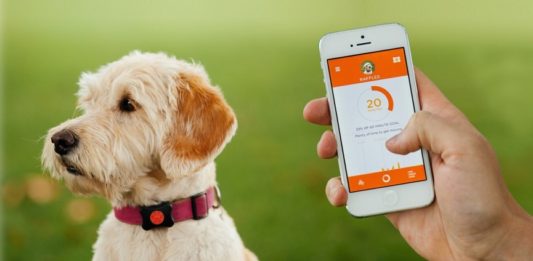 collari satellitari GPS per cani